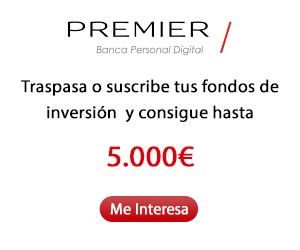 ditrendia-Ejemplo publicidad en banca y seguros-banner Banca Personal Digital Premier.jpg